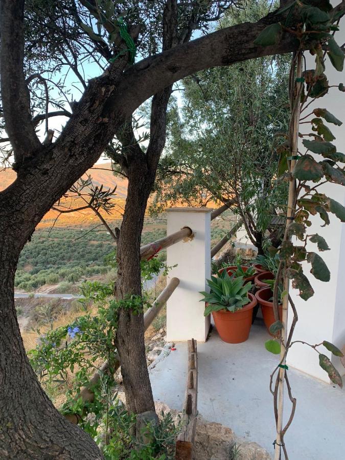 란야론 Cortijo Samadhi 게스트하우스 외부 사진