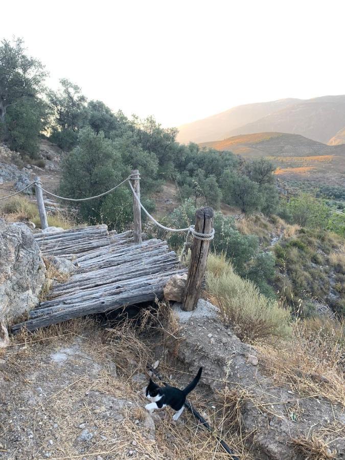 란야론 Cortijo Samadhi 게스트하우스 외부 사진