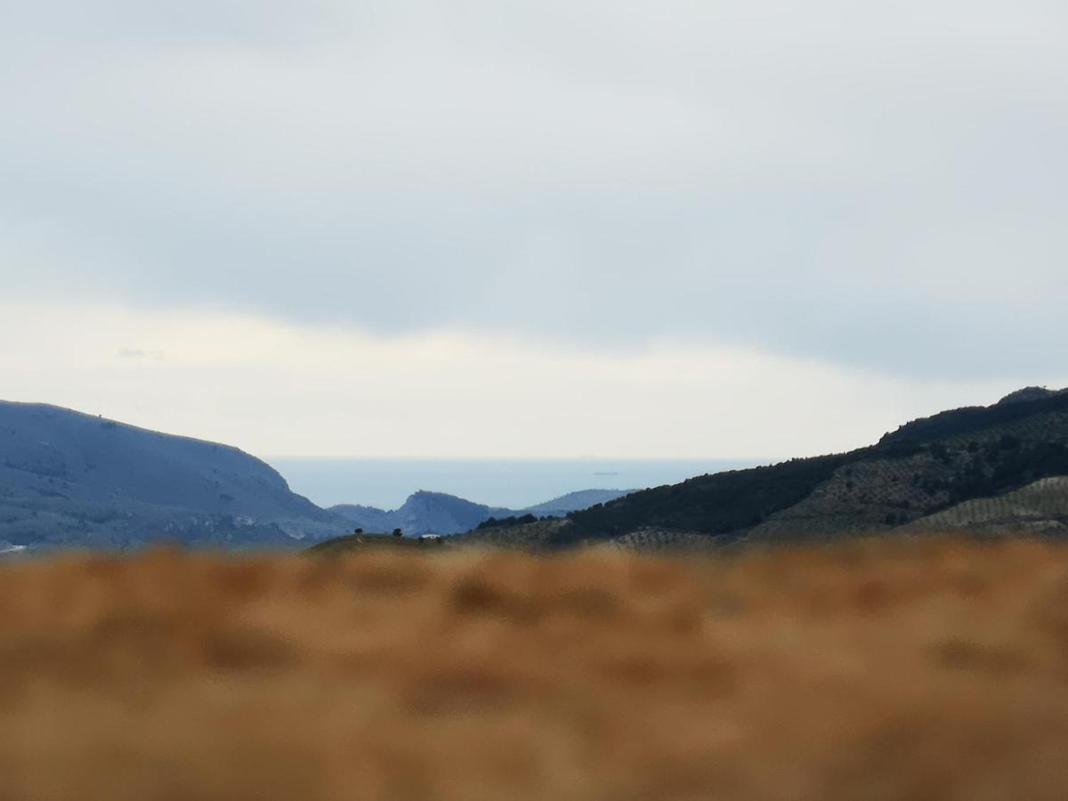 란야론 Cortijo Samadhi 게스트하우스 외부 사진